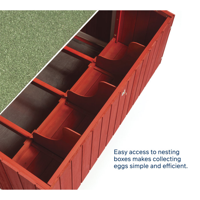 Archie & Oscar™ Hermione 33.93 Square Feet Chicken Coop with Chicken